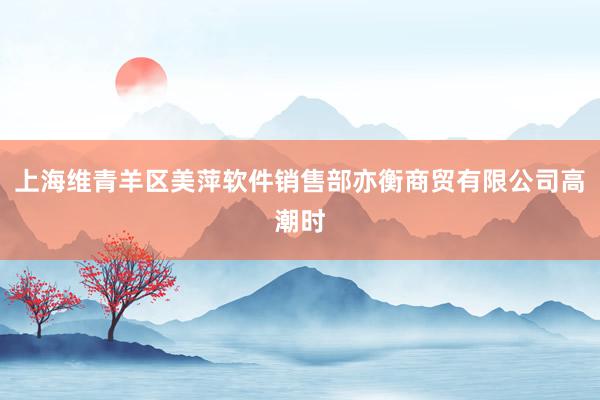 上海维青羊区美萍软件销售部亦衡商贸有限公司高潮时